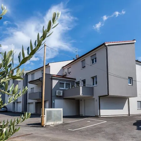 Grasser Apartment *